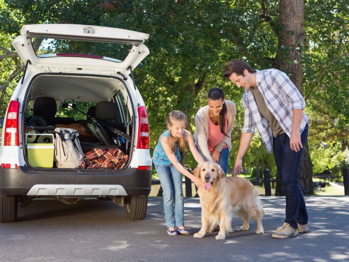 Auto Leasing - Transport für den Vierbeiner: Hunde richtig im Auto sichern