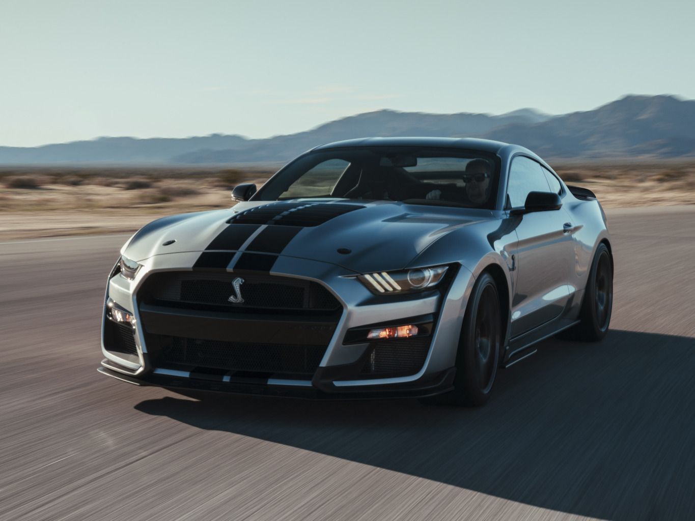Das Ultimative Muscle Car Der Neue Ford Mustang Shelby Gt500