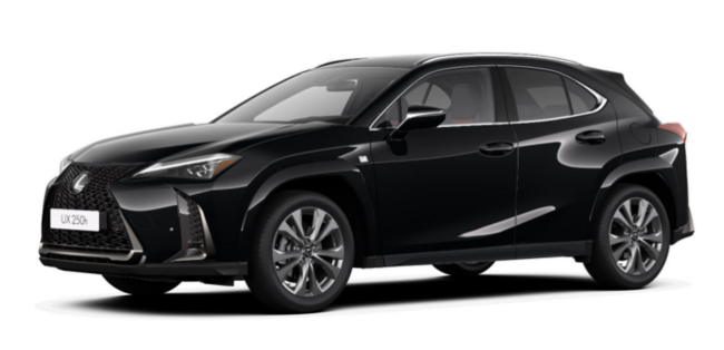 Lexus UX-300h Hybrid F-SPORT Design Privat - Bild 1