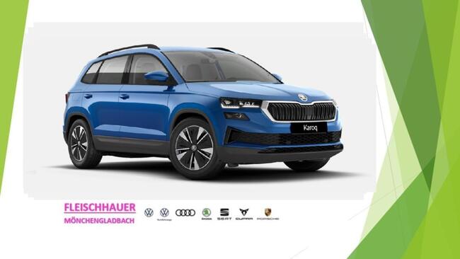 Skoda Karoq Drive - Bild 1