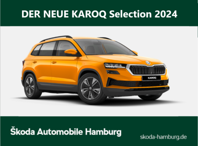 Skoda Karoq Selection 2,0 TDI 110 kW DSG - Bild 1