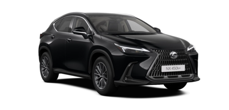 Lexus NX 450h + Plug In Business Line Auslieferung 25