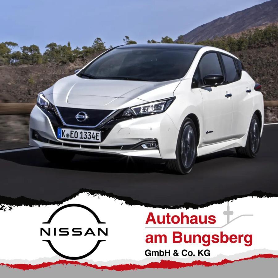Nissan Leaf für 264,52 € brutto leasen