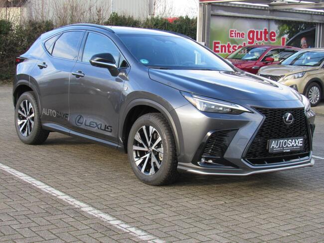 Lexus NX 350h Overtrail - Bild 1