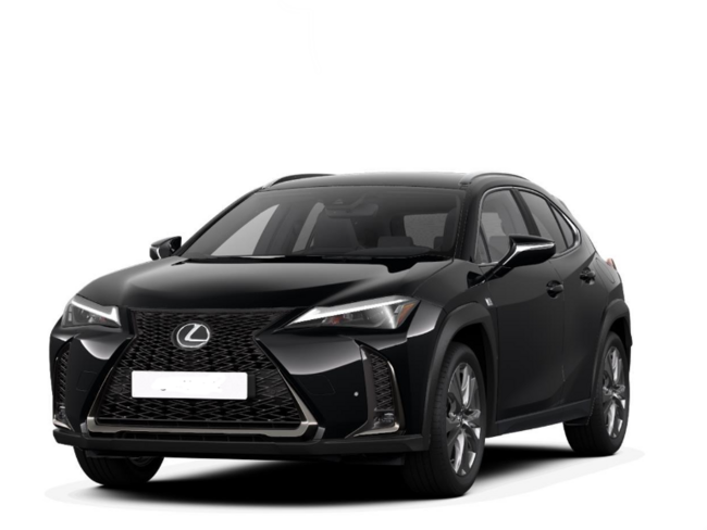 Lexus UX-300h F-Sport Design Model 25 verschiedene Farben - Bild 1