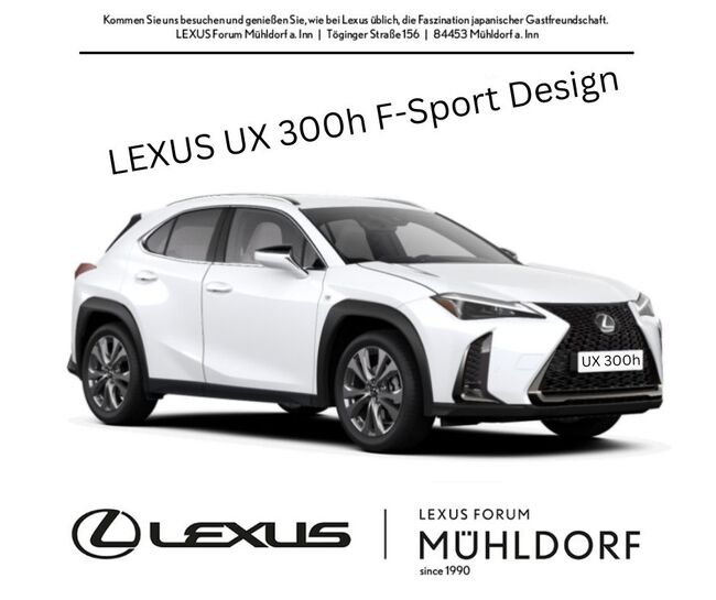 Lexus UX-300h F Sport Design - Bild 1