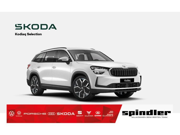 Skoda Kodiaq Selection 2,0 TDI 7-Gang automat.