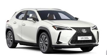 Lexus UX 300e EXECUTIVE NUR FÜR Sozial& Mobil!!