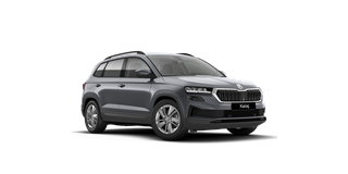 Skoda Karoq *Metallic * Sonderleasing