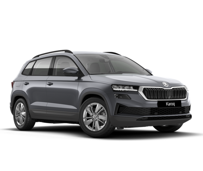 Skoda Karoq *Metallic* SONDERANGEBOT Gewerblich - Bild 1