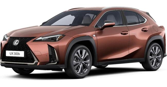 Lexus UX-300h 💥2,0 HYBRID - F SPORT DESIGN - CARPLAY - SONDERAKTION💥 - Bild 1