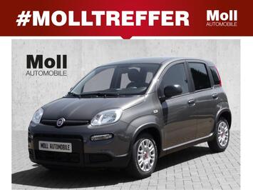 Fiat Panda | MILD HYBRID | TECHPAKET |***SOFORT VERFÜGBAR***