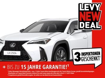 Lexus UX-300h UX 300h F-Sport Design +MY24+Navi+R.Kam+Leder+