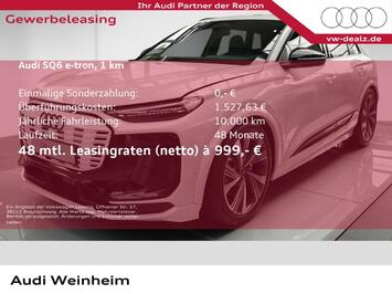 Audi SQ6 e-tron quattro Pano B&O OLED MatrixLED Leder