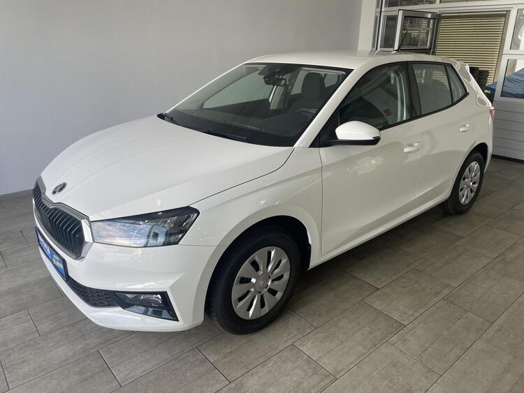 Skoda Fabia 1.0 TSI Ambition 4.J Garantie PDC SHZ LED