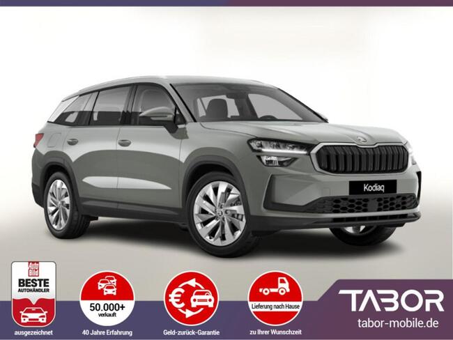 Skoda Kodiaq TDI 193 DSG 4x4 Selec NeuesMod Nav ACC 19 - Bild 1