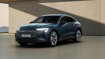 Audi Q8 e-tron Sportback Advanced 55 quattro, AHK, Matrix-LED, Head-Up, Leder, 8-Fach bereift