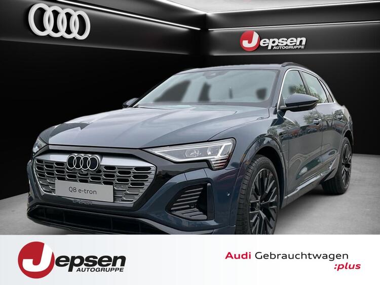 Audi Q8 e-tron S line 55 quattro Luft ACC