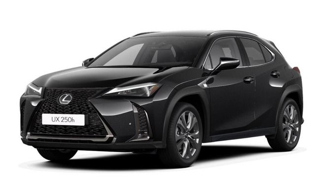 Lexus UX-300h UX 300h F-Sport Design +Navi+R.Kam+Tahara-Leder - Bild 1