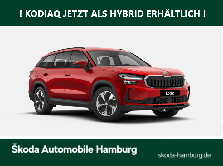 Skoda Kodiaq Selection 1,5 TSI iV 150 kW 6-Gang automat.