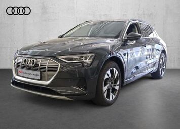 Audi e-tron Advanced 55 quattro, Matrix-LED, TV, 20 Zoll, B&O, 8-Fach bereift