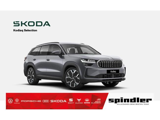 Skoda Kodiaq Selection 2,0 TDI 7-Gang automat. 4x4 - Bild 1