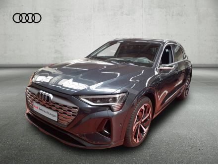 Audi Q8 e-tron 55 qu. - S line - PANO - ACC - AHK - Bild 1