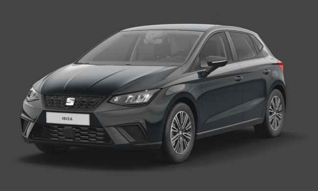 Seat Ibiza Style Edition 1.0 TSI 85 kW (116 PS) 6-Gang - Bild 1