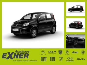 Fiat Panda AB NOVEMBER VERFÜGBAR | Privat