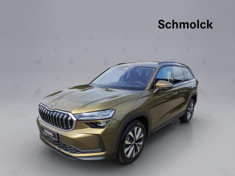 Skoda Kodiaq Selection 2.0 TDI DSG 4x4 AHK NAVI LED