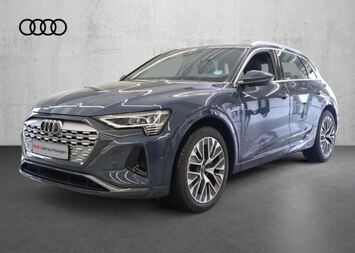 Audi Q8 e-tron Advanced 55 quattro, Pano, AHK, Matrix-LED, Leder, 8-Fach bereift