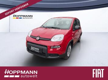 Fiat Panda PANDINA 1.0 GSE *CITY-PAKET*