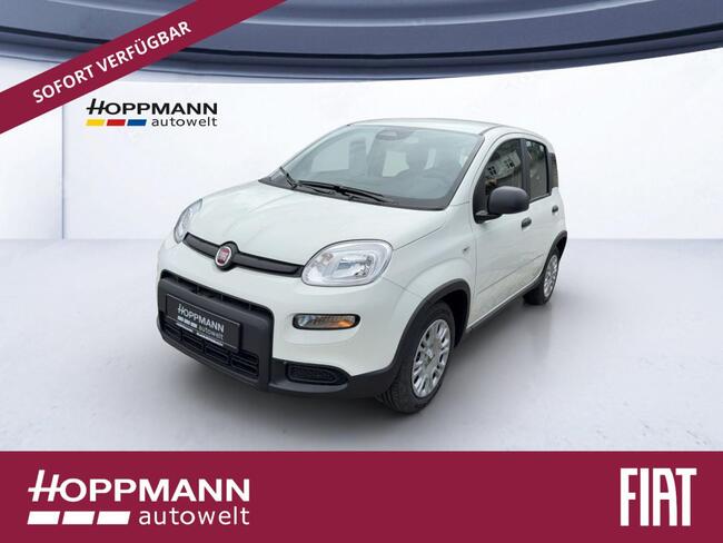 Fiat Panda PANDINA 1.0 GSE *CITY-PAKET* - Bild 1