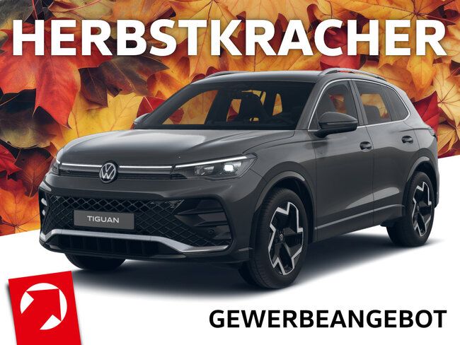 Volkswagen Tiguan R-Line 1,5 eTSI OPF (150 PS) DSG* ACC*LED*KAMERA**GEWERBE* - Bild 1