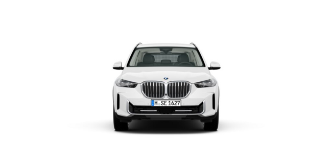 BMW X5 xDrive 30d 19