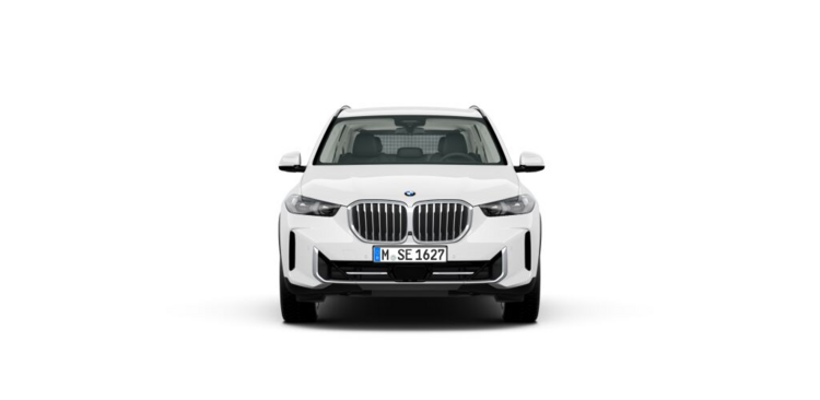 BMW X5 xDrive 30d 19