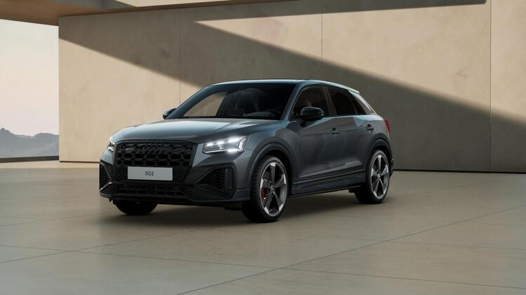 Audi SQ2 Quattro S line Matrix ACC AHK Pano Navi virtual LM19