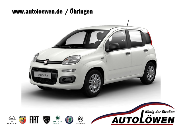 Fiat Panda Sofort Verfügbar! - Bild 1