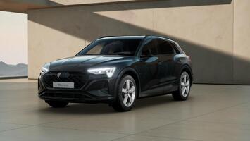 Audi Q8 e-tron Advanced 55 quattro, Pano, AHK, Matrix-LED, Optikpaket Schwarz, Leder, 8-Fach bereift