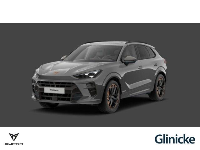 Cupra Terramar VZ 2.0 TSI 195 kW DSG - Bild 1