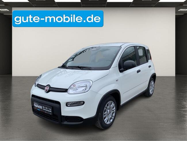 Fiat Panda 1.0 GSE N3 Hybrid (51 KW) 69 PS| Sofort Verfügbar - Bild 1