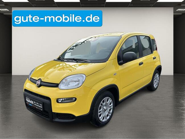 Fiat Panda 1.0 GSE N3 Hybrid (51 KW) 69 PS| Sofort Verfügbar - Bild 1