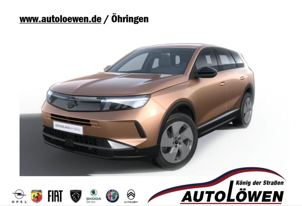 Opel Grandland Edition Elektromotor, 157 kW (213 PS), mit 73 kWh Batterie Bestellfahrzeug Privatkunden