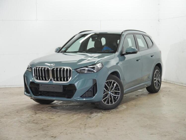 BMW X1 sDrive 20i M-Sport, Driv-Ass, Park-Ass+, AHK, HUD, DAB uvm.