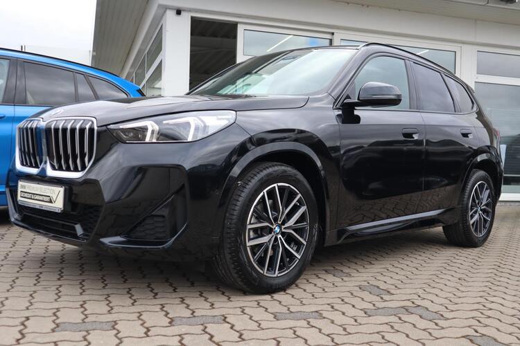 BMW X1 sDrive18i M-Sport RFK AHK Adapt.LED