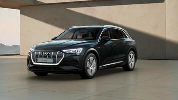 Audi e-tron 55 quattro, Leder, Kamera, 8-Fach bereift