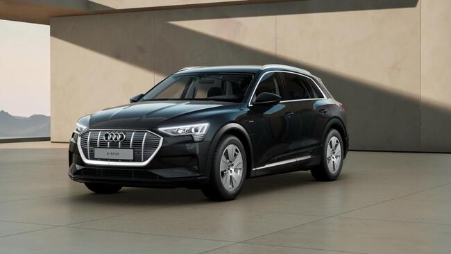 Audi e-tron 55 quattro, Leder, Kamera, 8-Fach bereift - Bild 1