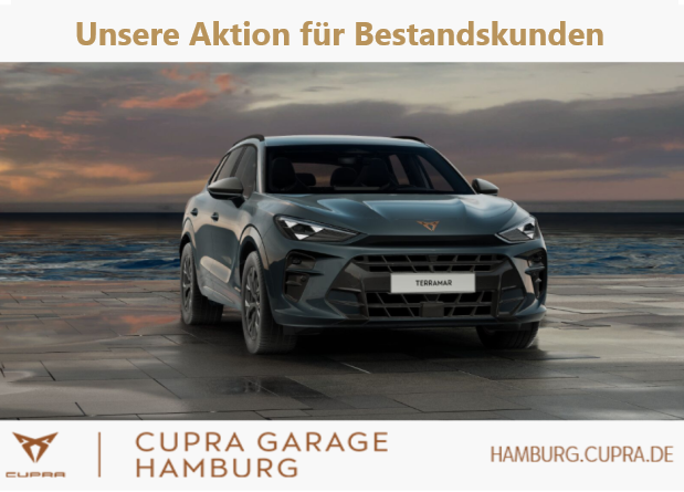 Cupra Terramar 1.5 e-HYBRID 150 kW (204 PS) 6-Gang-DSG - Bild 1