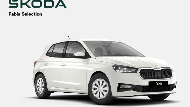 Skoda Fabia Selection *SOFORT VERFÜGBAR* - Bild 1