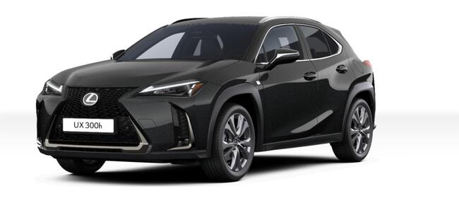 Lexus UX-300h F-Sport Design +Navi+R.Kam+div. Farben!! - Bild 1